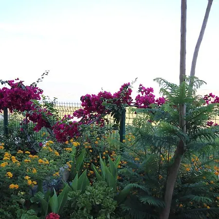 Ferienhaus Turquoise Serenity Homes Bodrum Bogazici